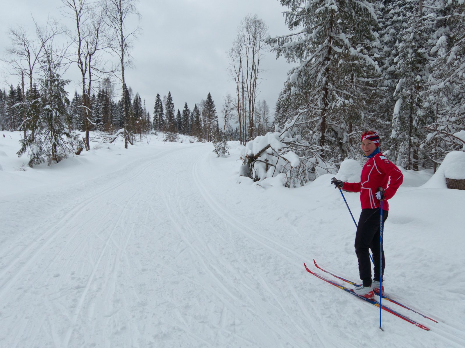 Hogst langs Myrløypa