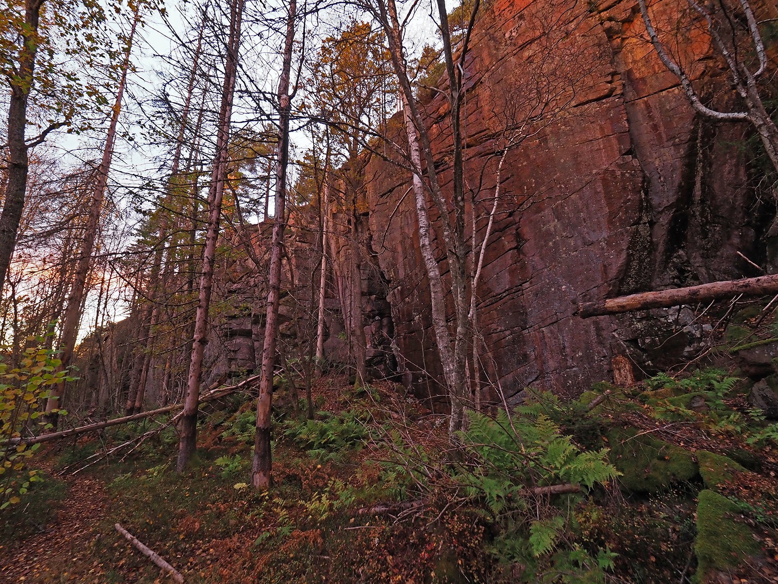 Holtnesdalen: bergvegg i sen aftensol