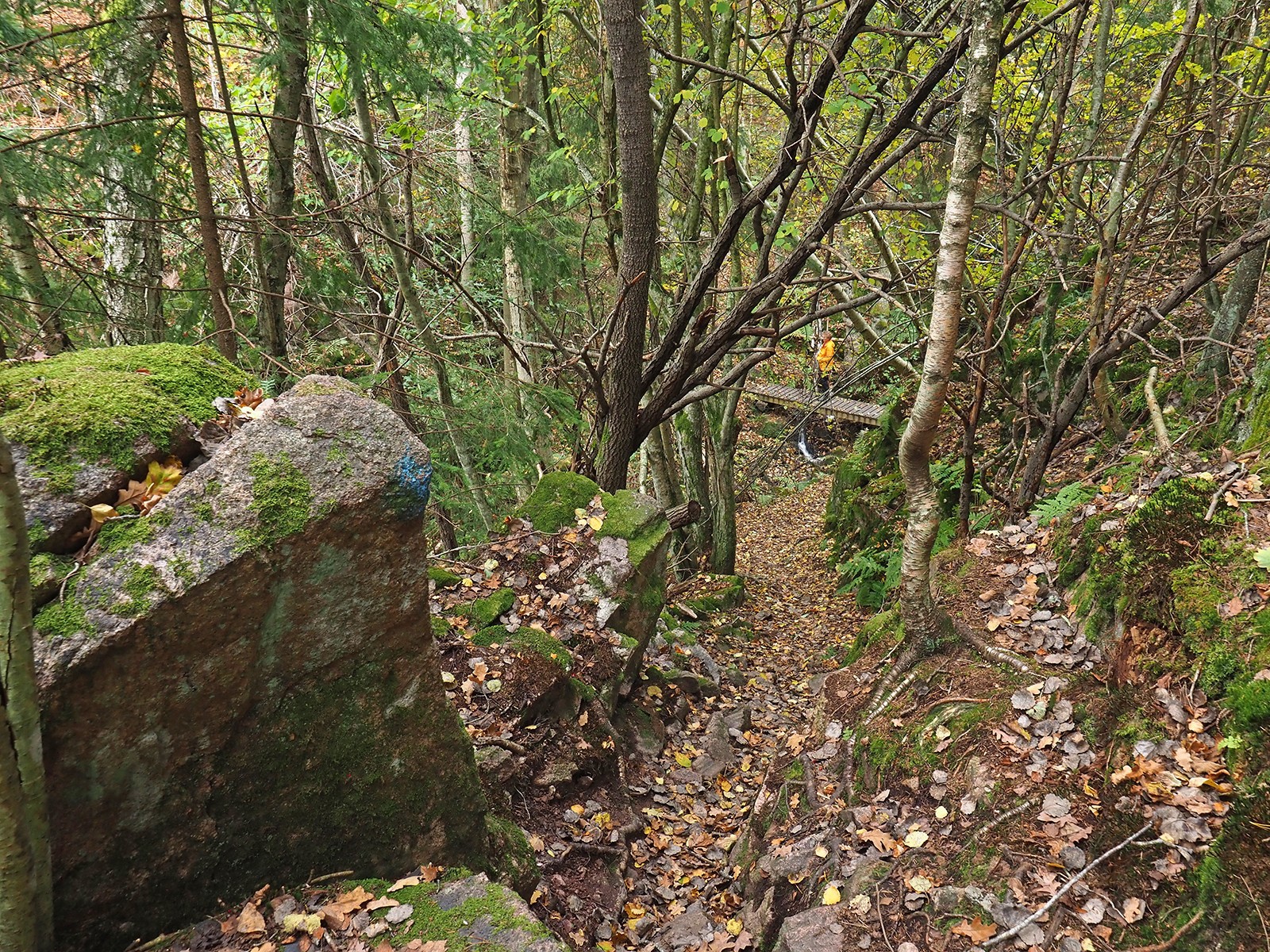 Holtnesdalen: bratte hufs og klopper