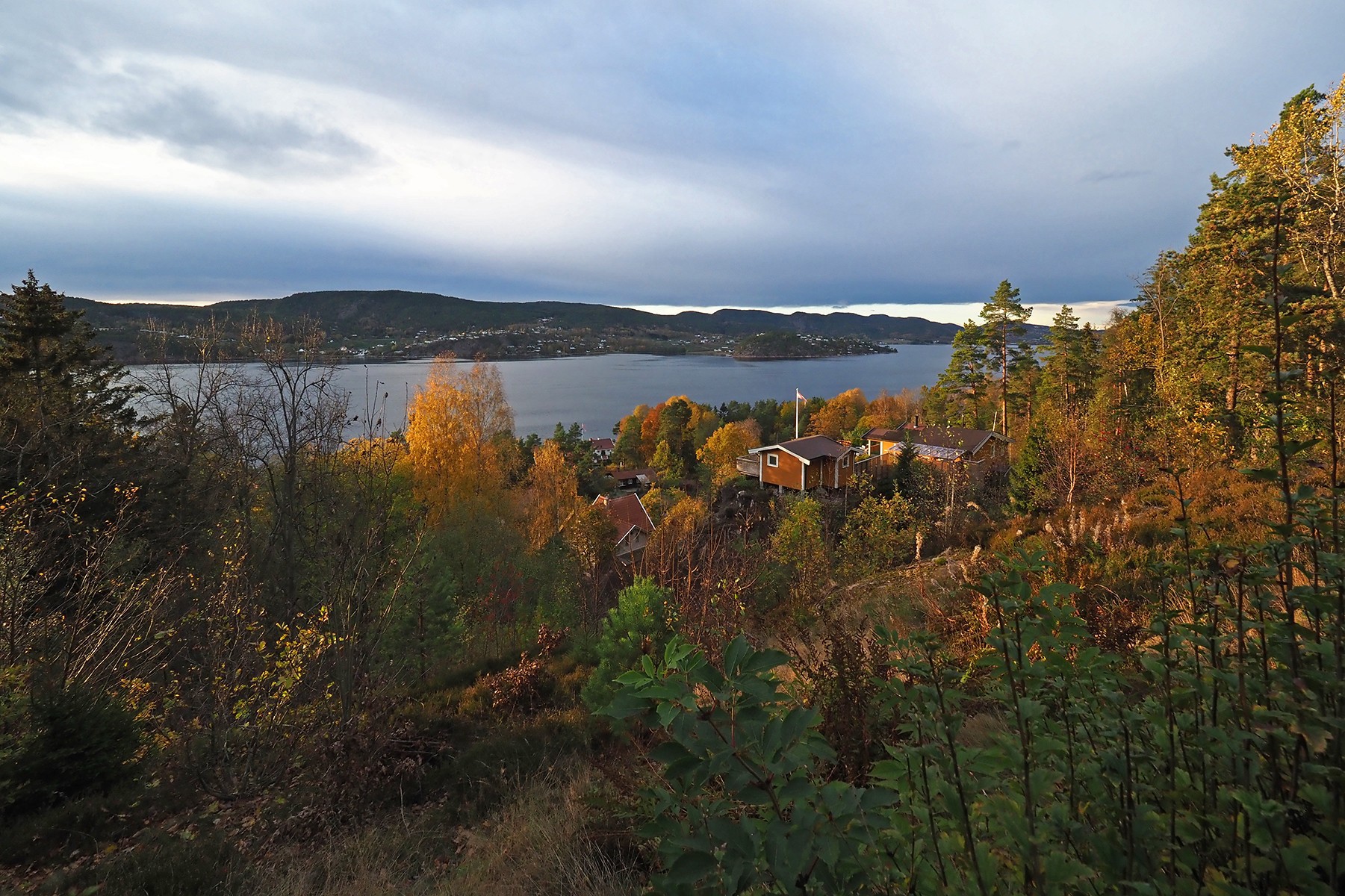 Holtnesdalen: en avstikker