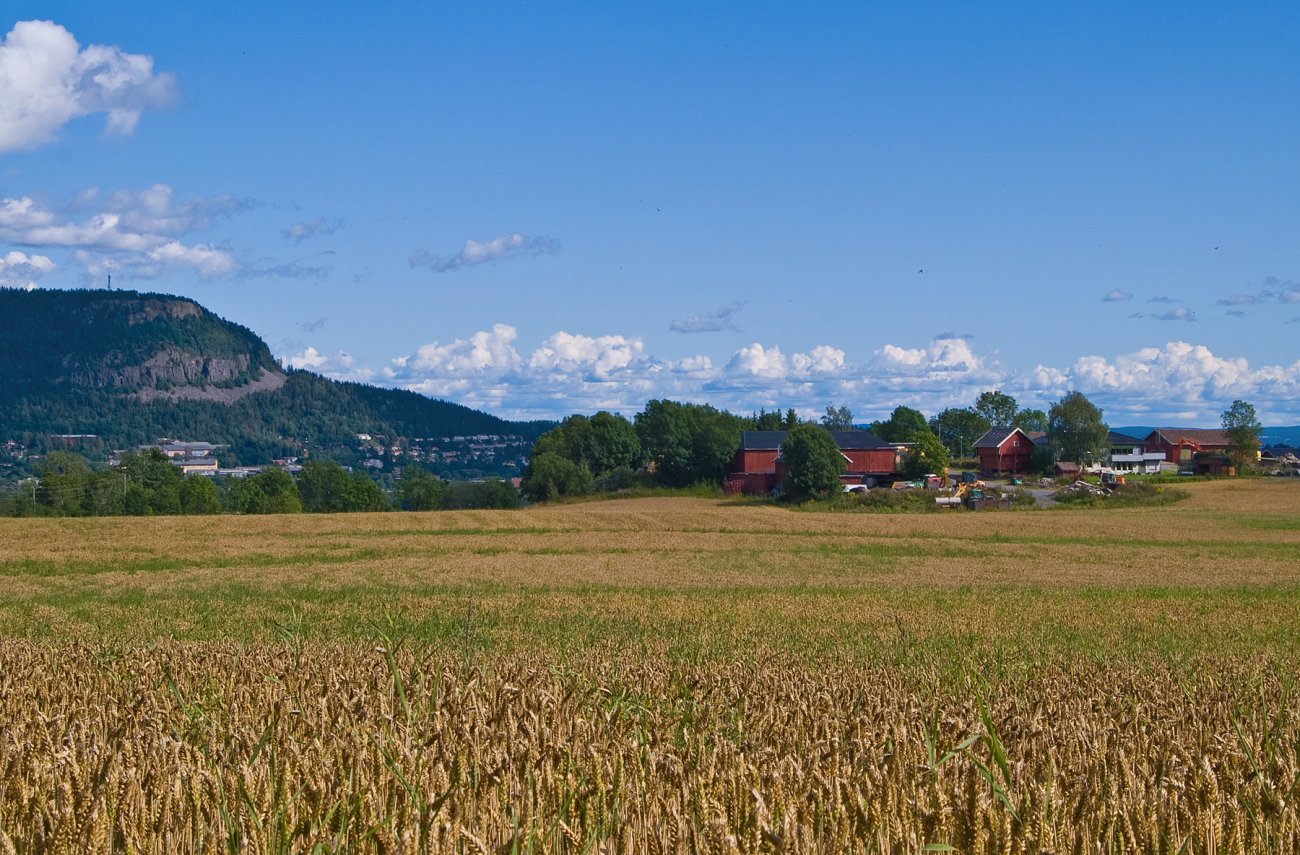 Horni gård og Søndre Kolsås