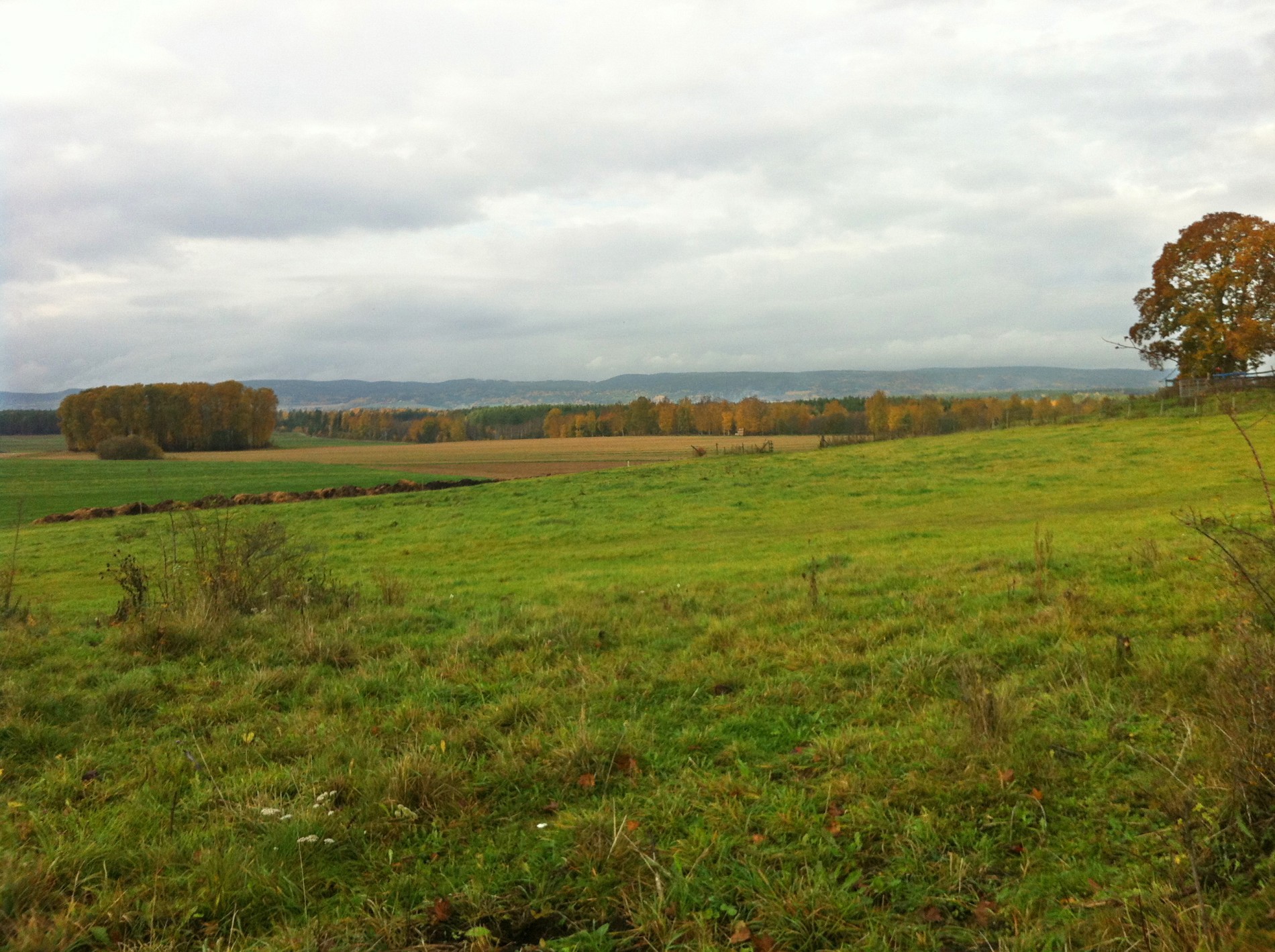 Høst på Mo og Sørum