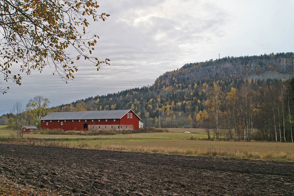 Høst ved Dæli gård