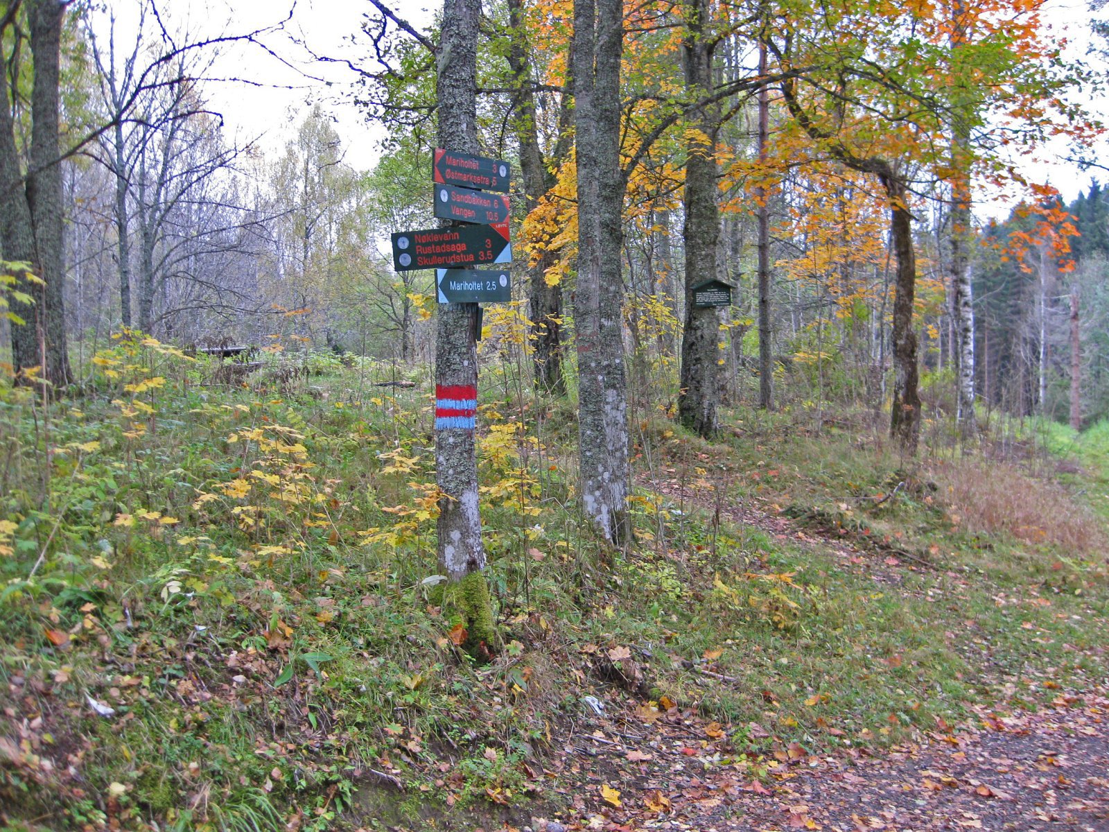 Høst ved Gullsmeden