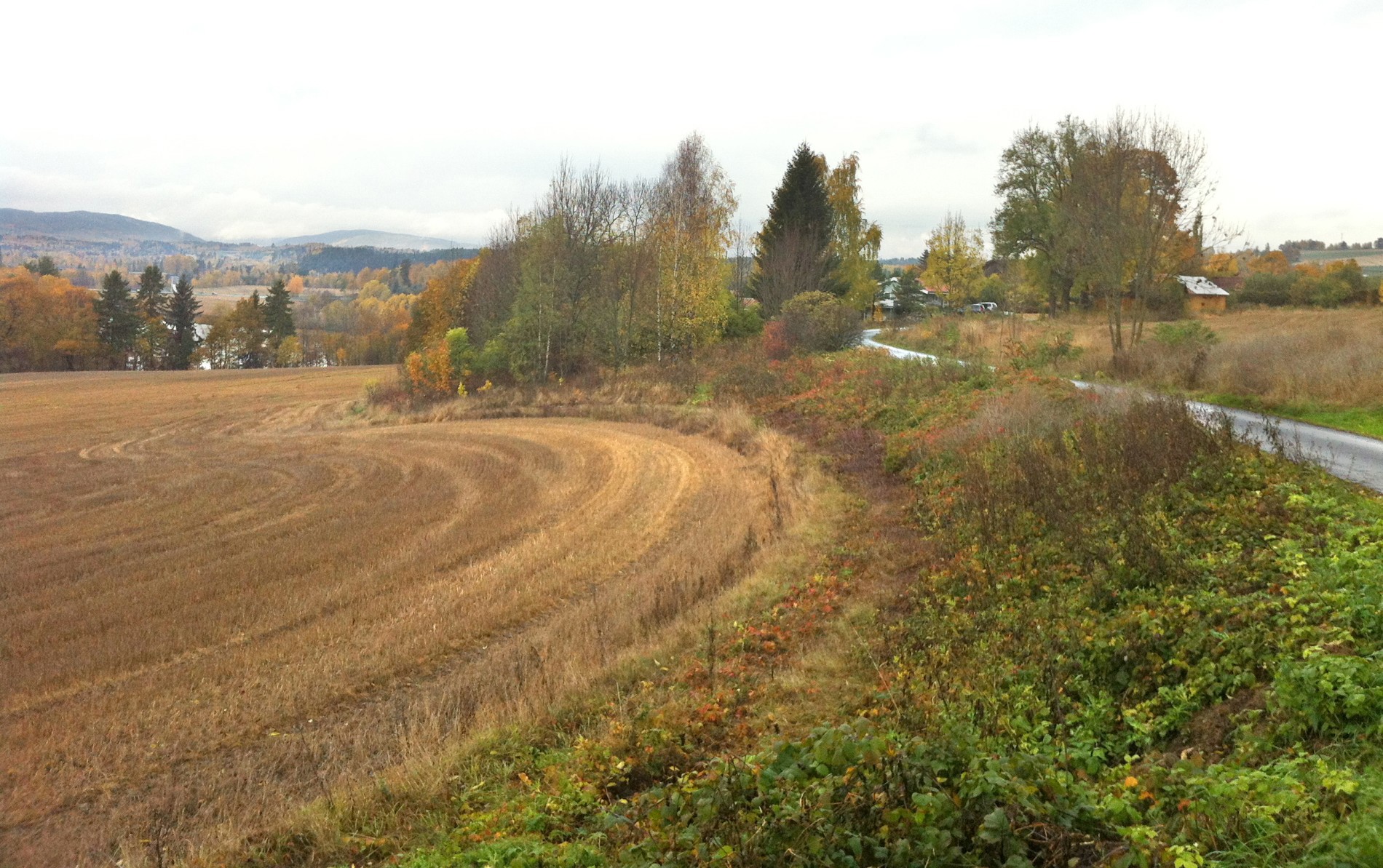 Høst ved Skinnlåven