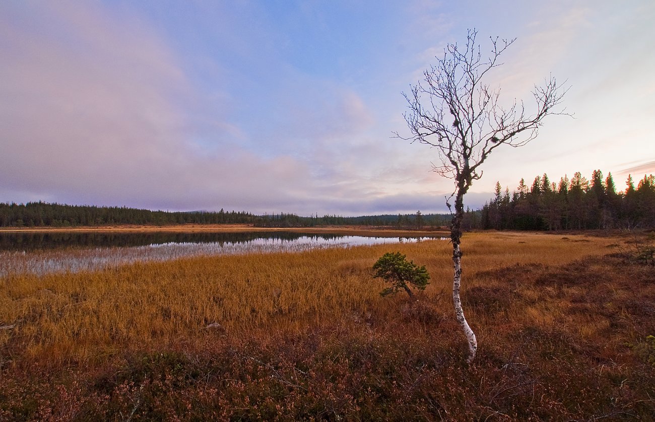 Høst ved Vesle Grevsjøen
