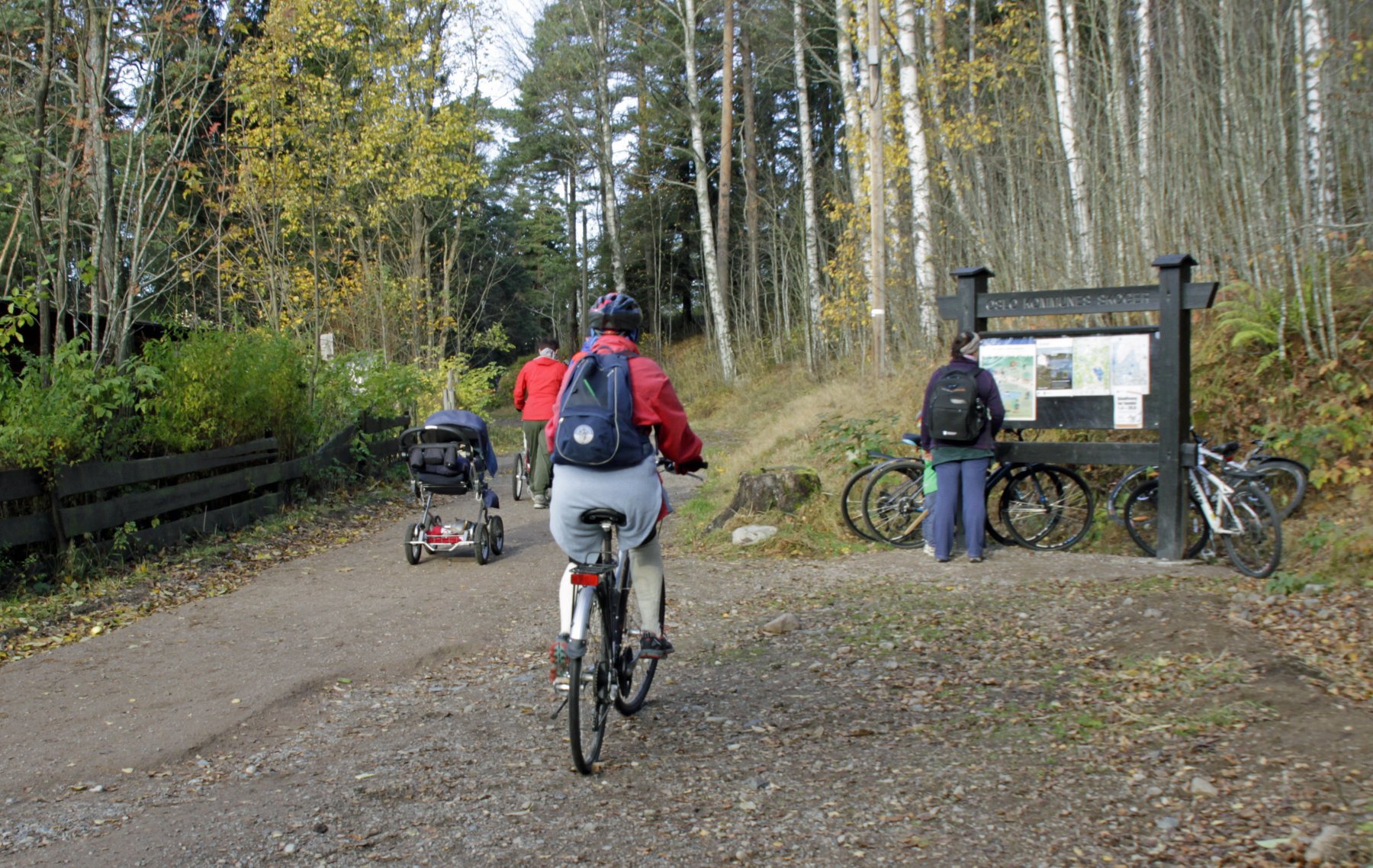 Høstdag ved Kjelsås