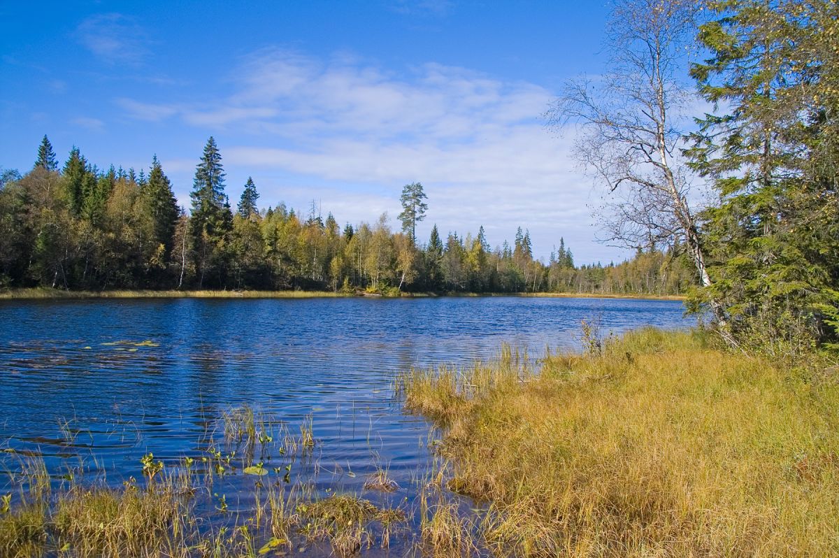 Høsten har kommet til Midtskogtjerna
