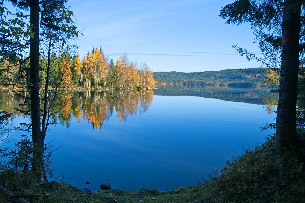 Høstfagre løvtrær på Kaldputtangen
