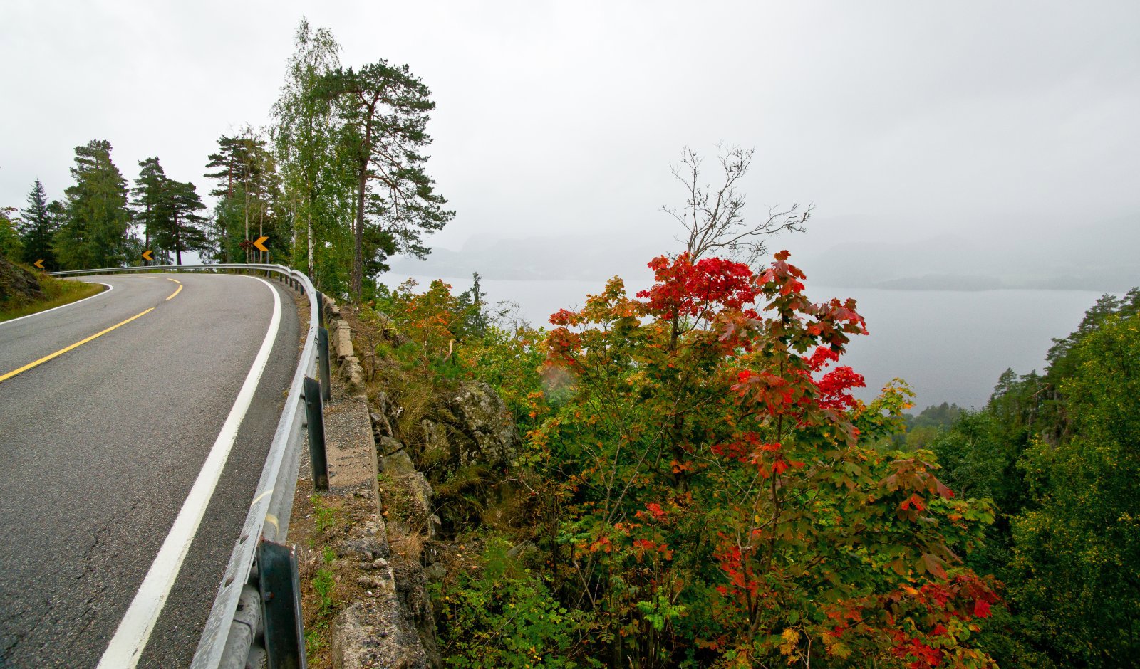 Høstfarger langs veien