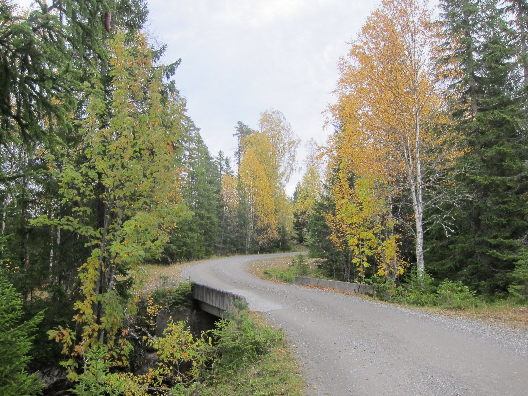 Høstkulør over Vindfloelva