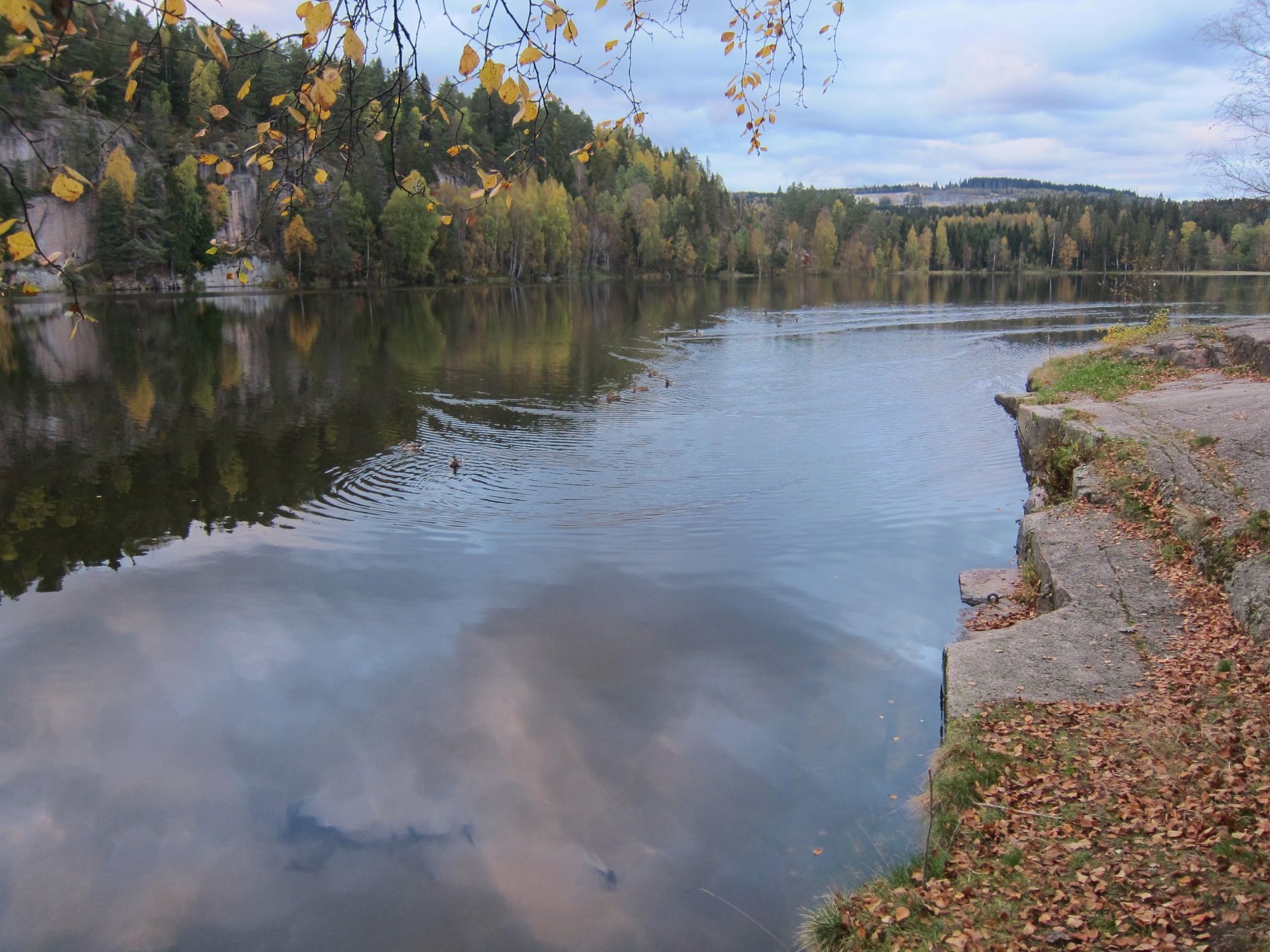 Høstkveld ved Damtjern