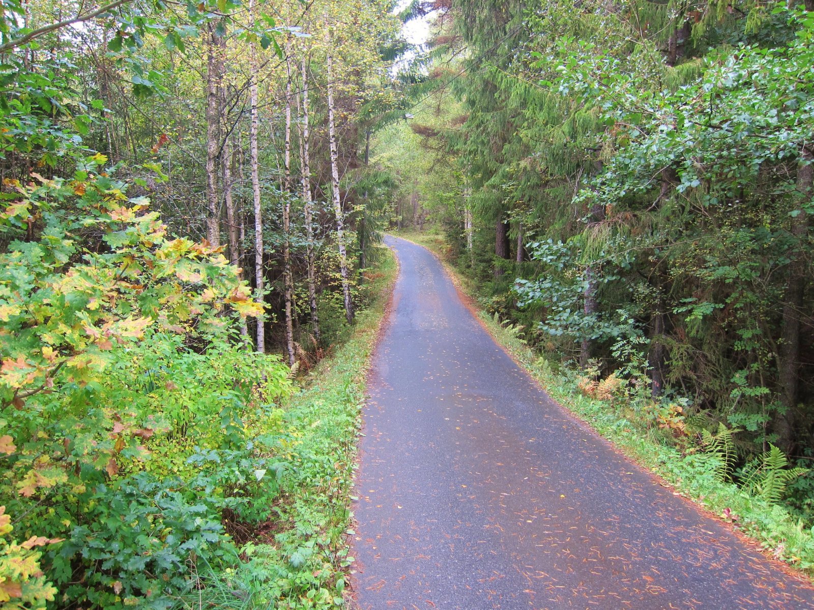 Høstlig mot To gård