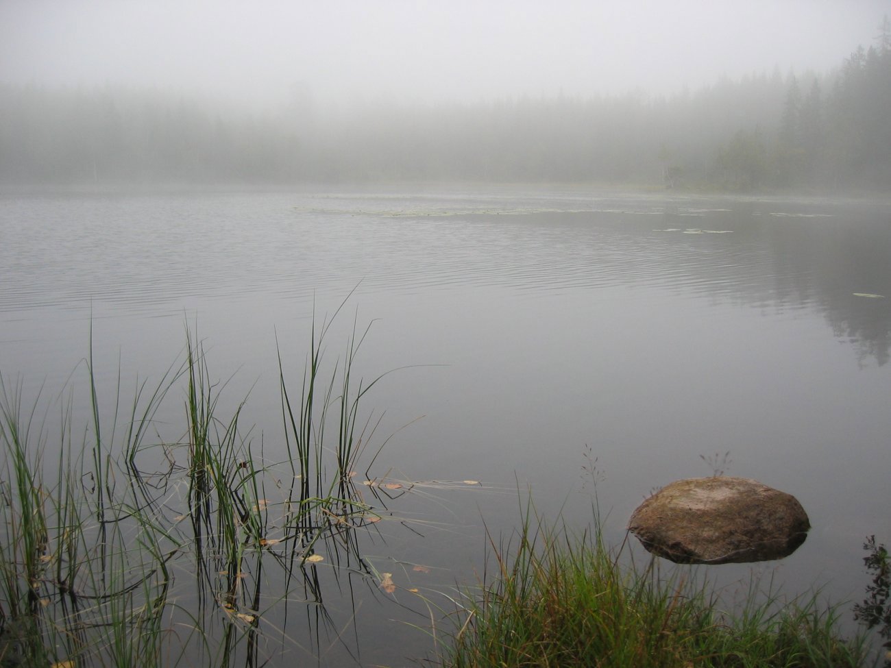Høstlig ved Finntjern