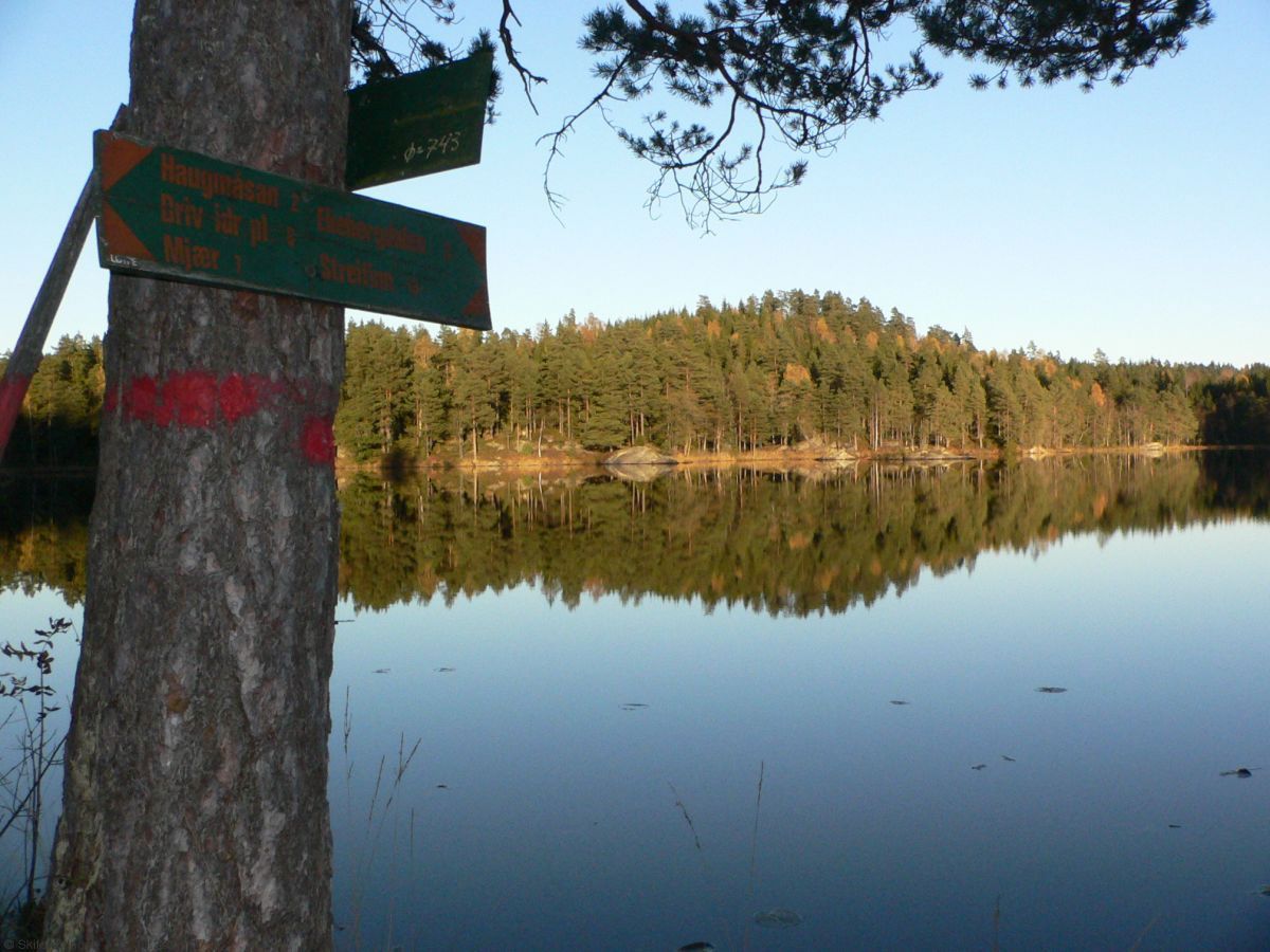 Høstsol over Holmetjernet