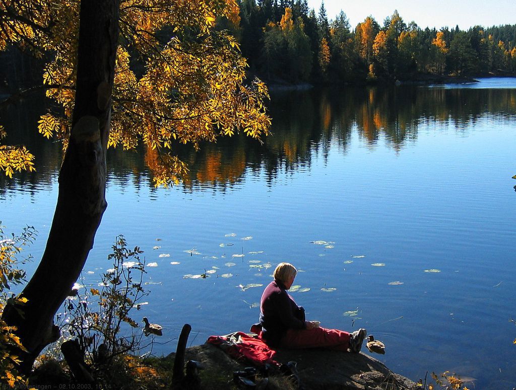Høststemning ved Bremsrud i Nøklevann