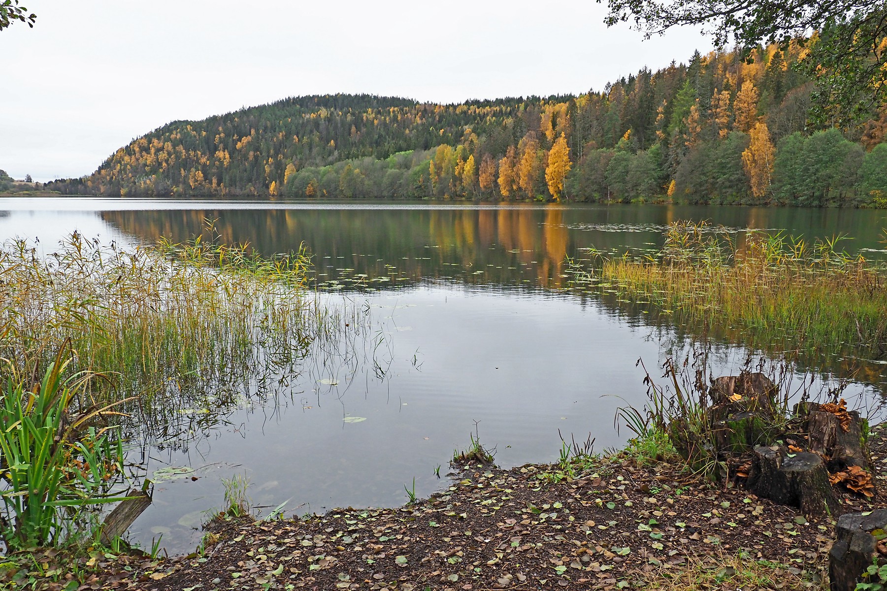 Høststemning ved Stovivann