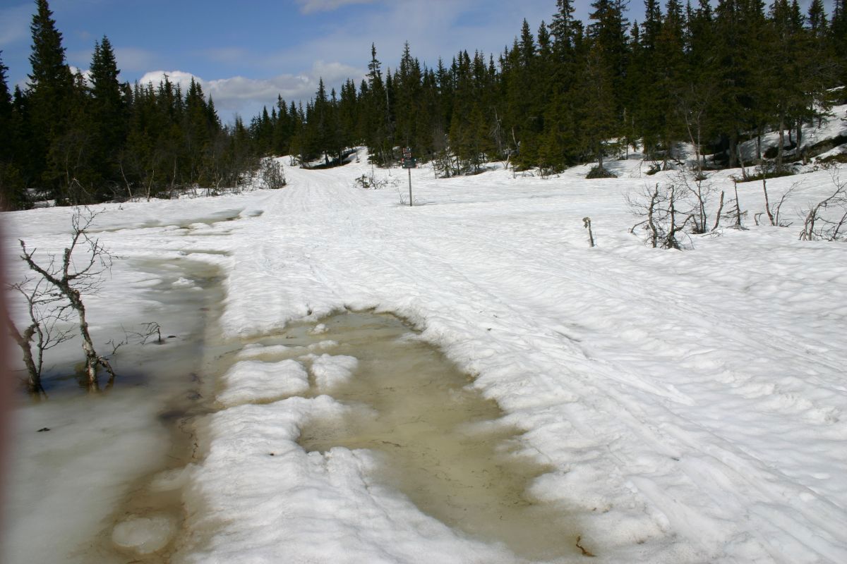 Hovedløypa holder stand