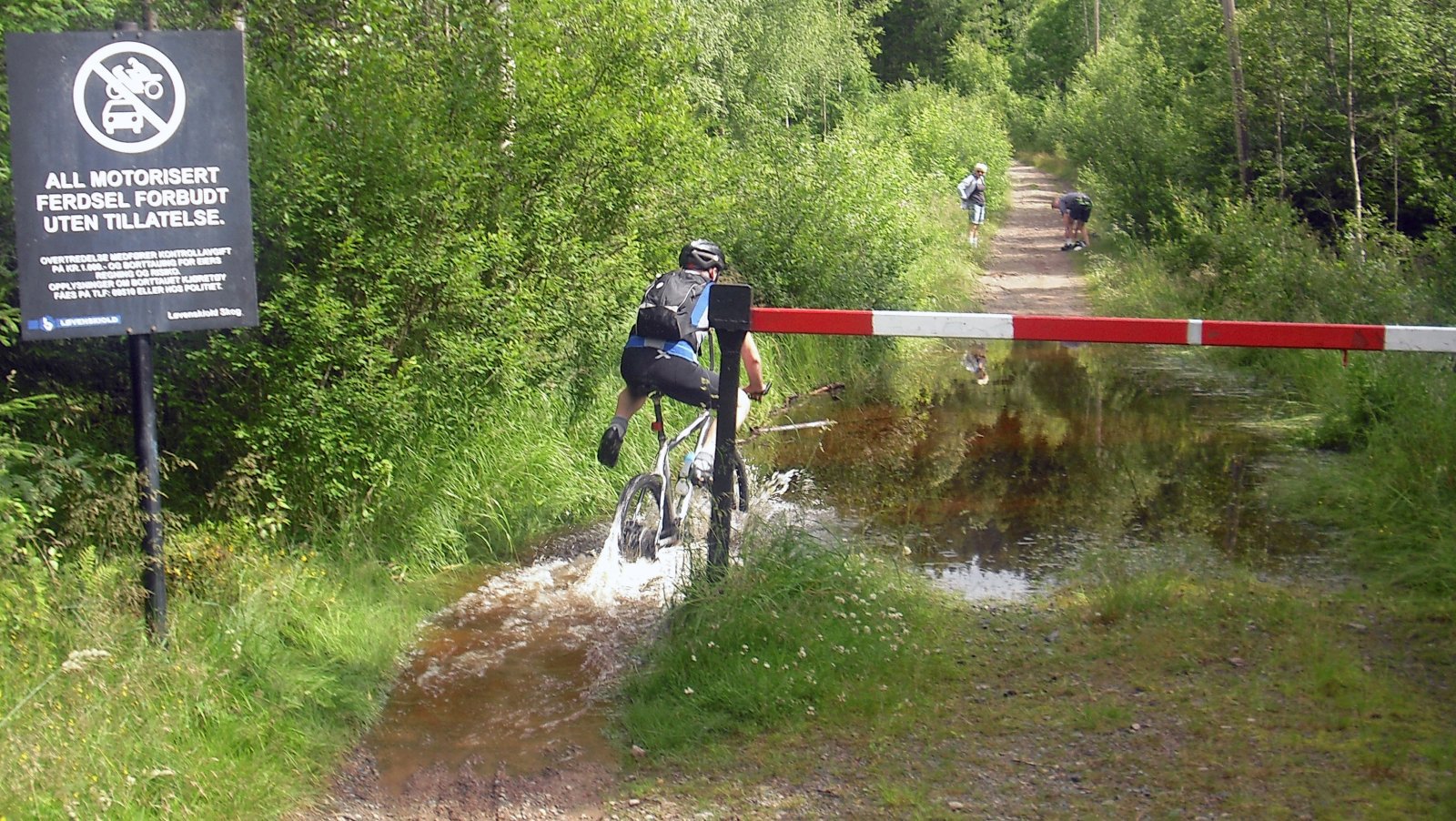 Høy men avtagende vannstand i Greveveien
