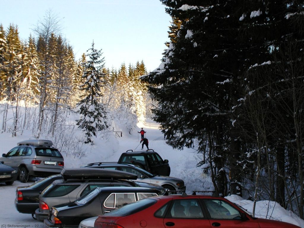 Høymyr ved Sollihøgda