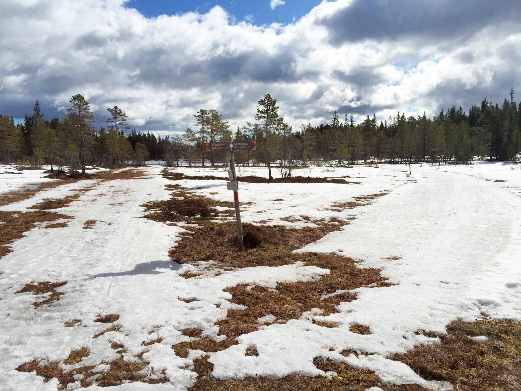 Høyre eller venstre ved Kolltjern?