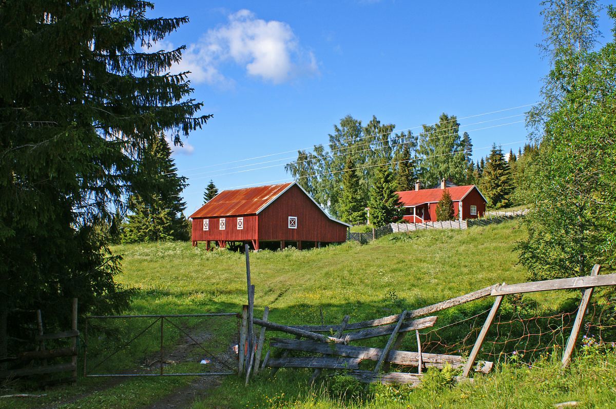 Høysommer på Slåttbråtan