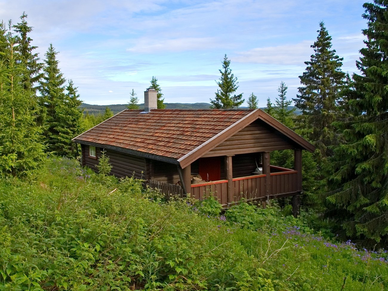 Høysommer ved Hengedysætra