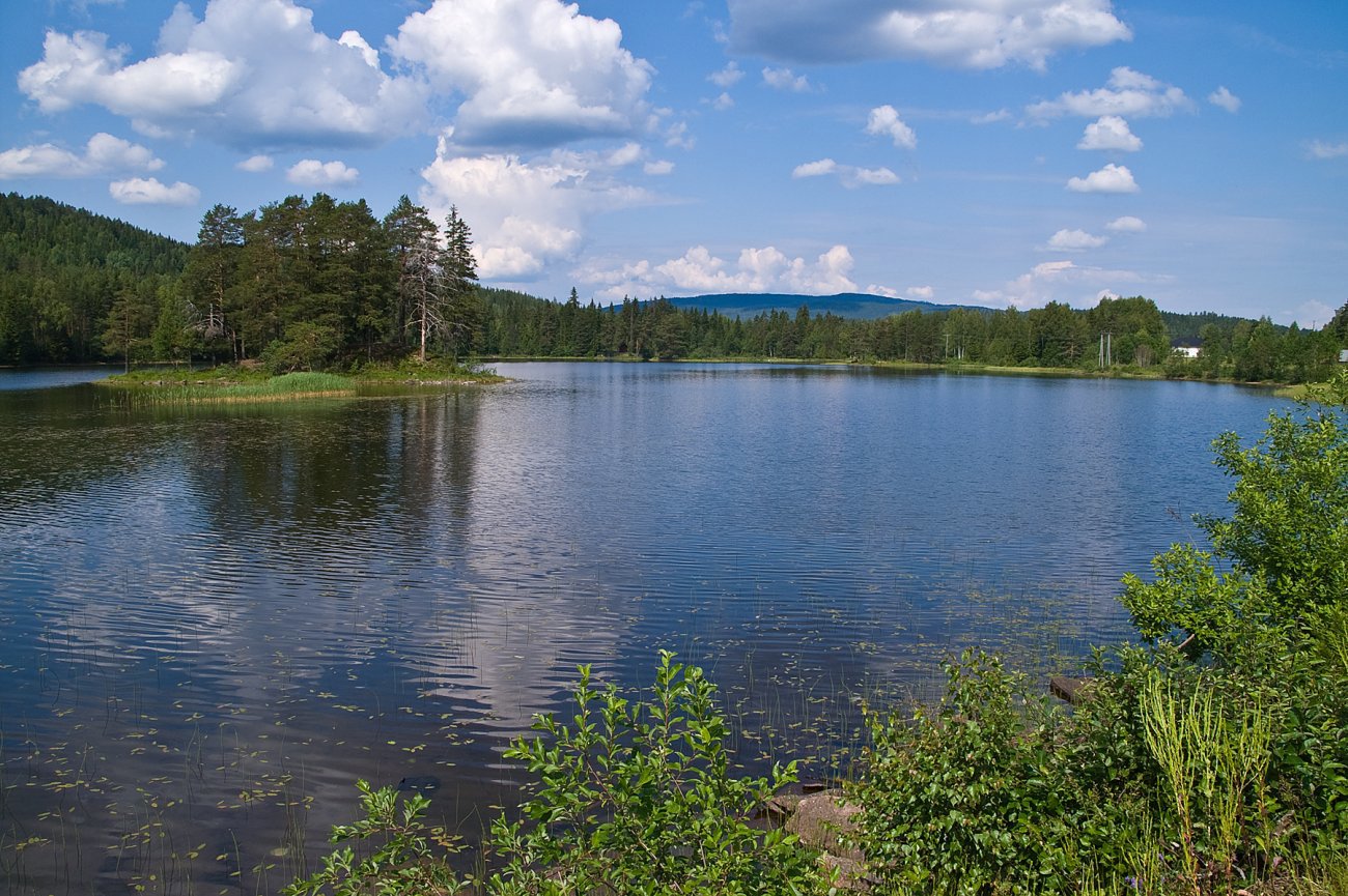 Høysommer ved Strykenvannet