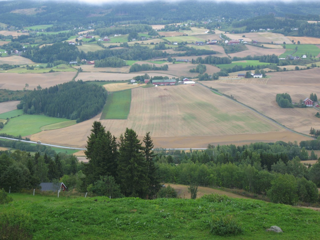 Høyt hevet over bilene