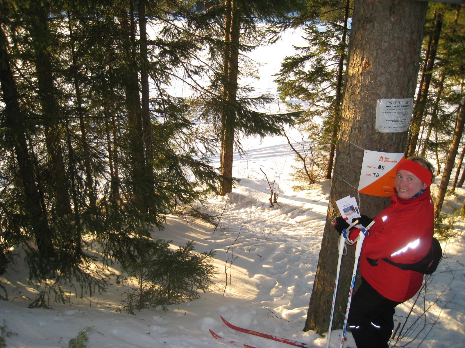 Huldretrær med mye rart på