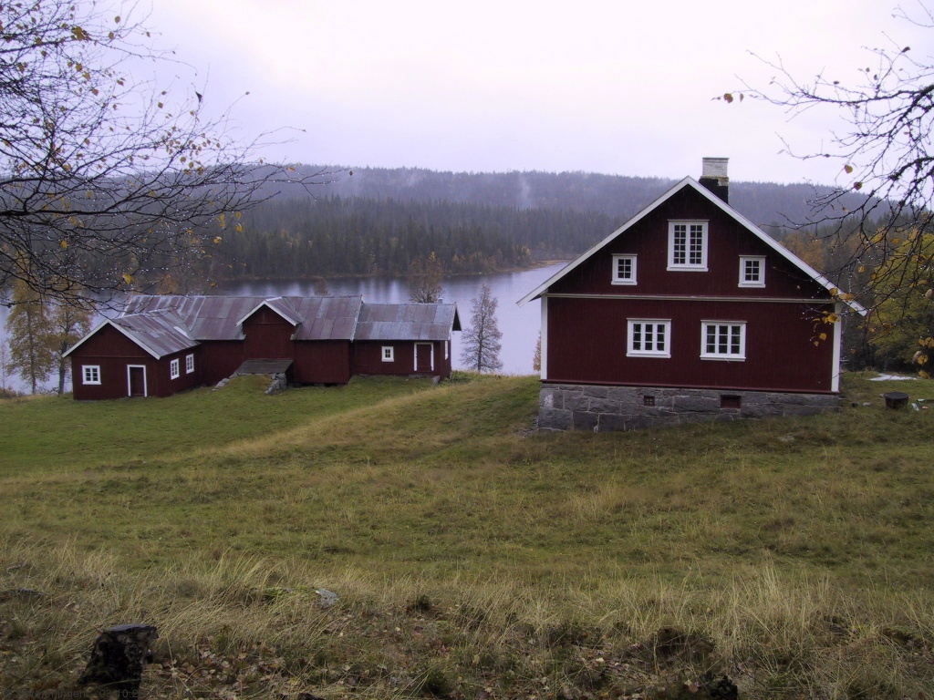 Husene ved Finntjern