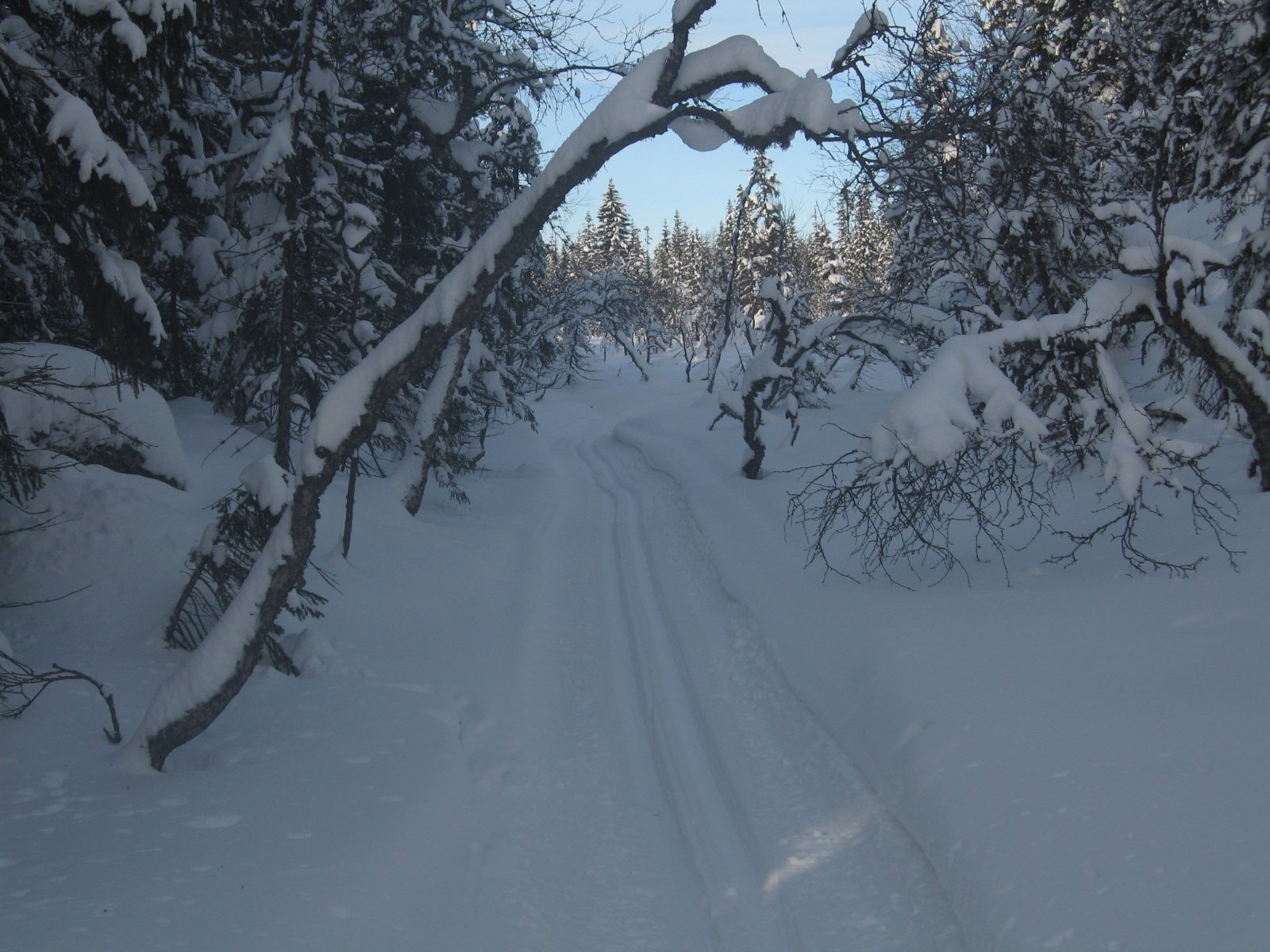 Husk å senke hodet før du passerer portalen