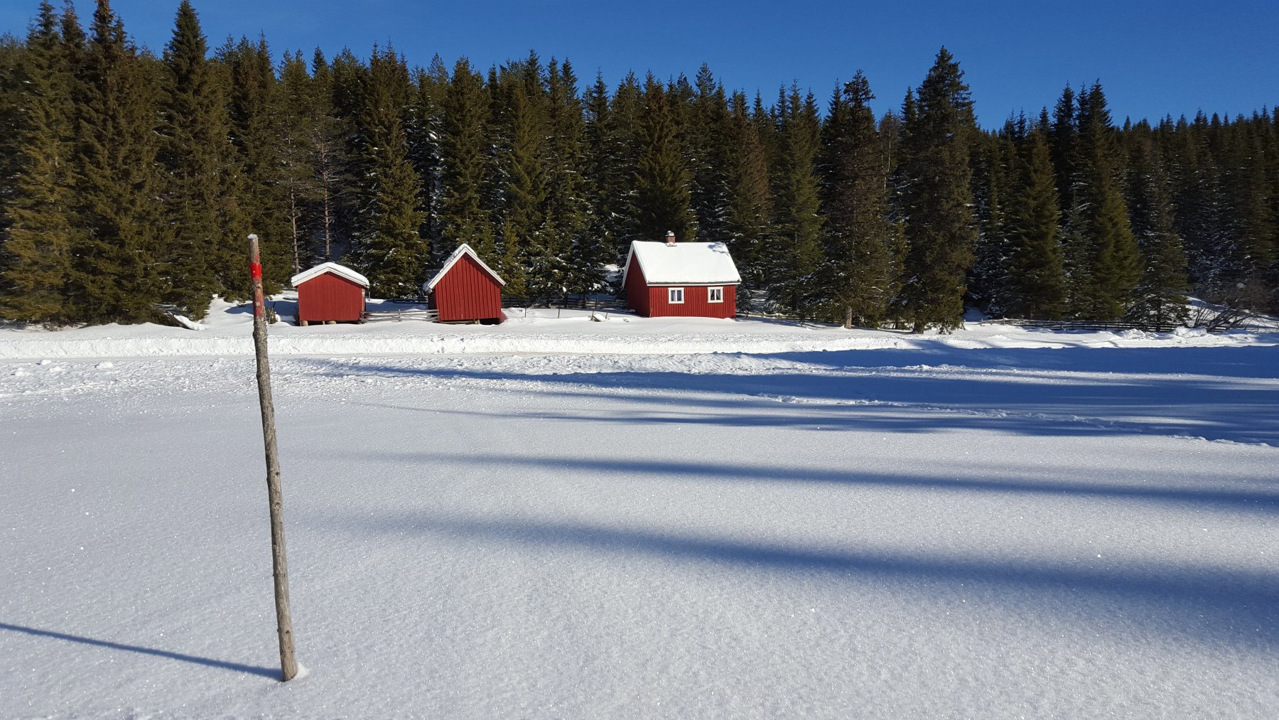 Hvem er løgnhalsen?
