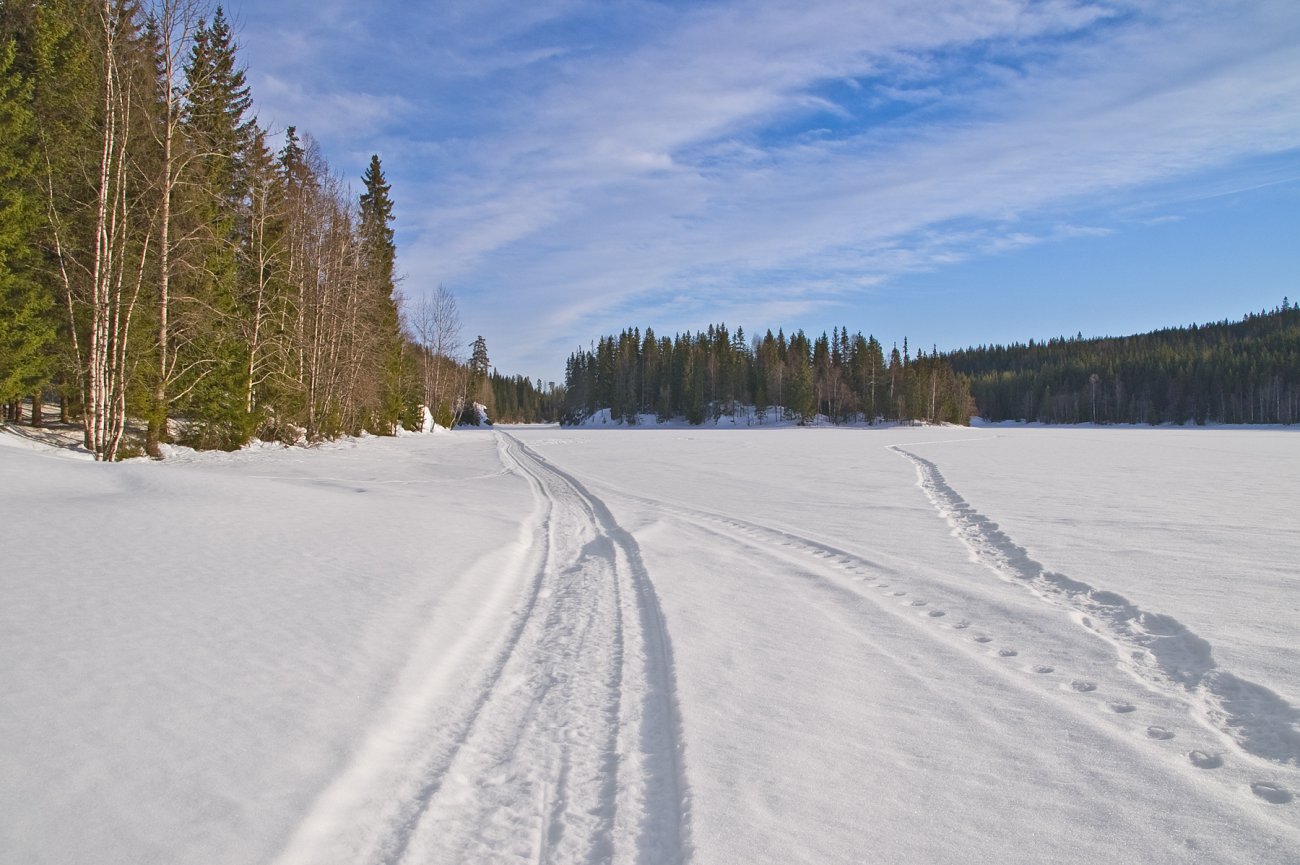 Hvert sitt spor på Plassedammen
