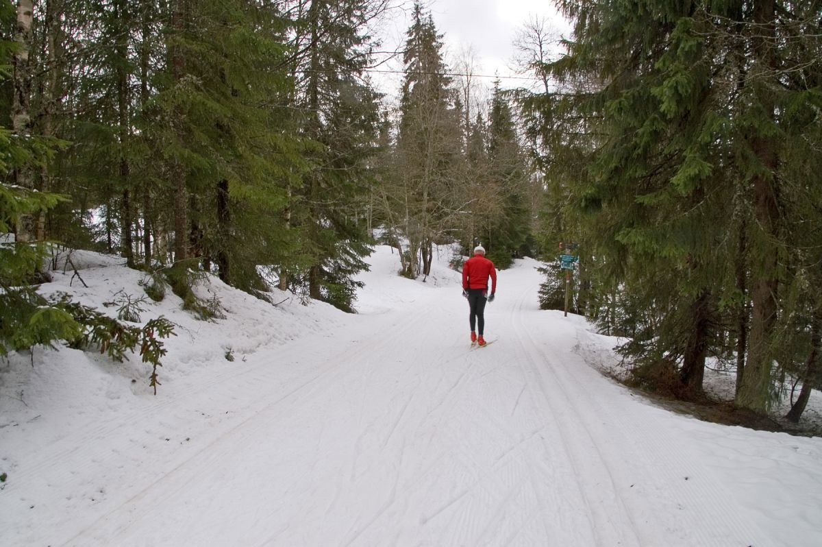 Hvileskjær ved Myrseter