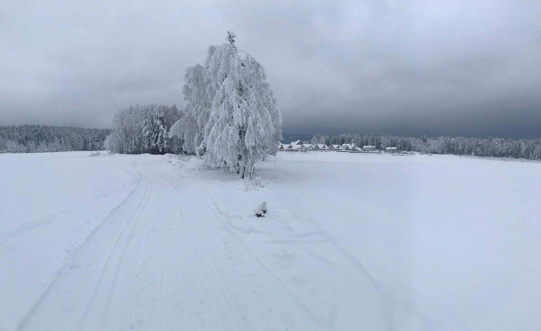 Hvit vinter ved Viksenga