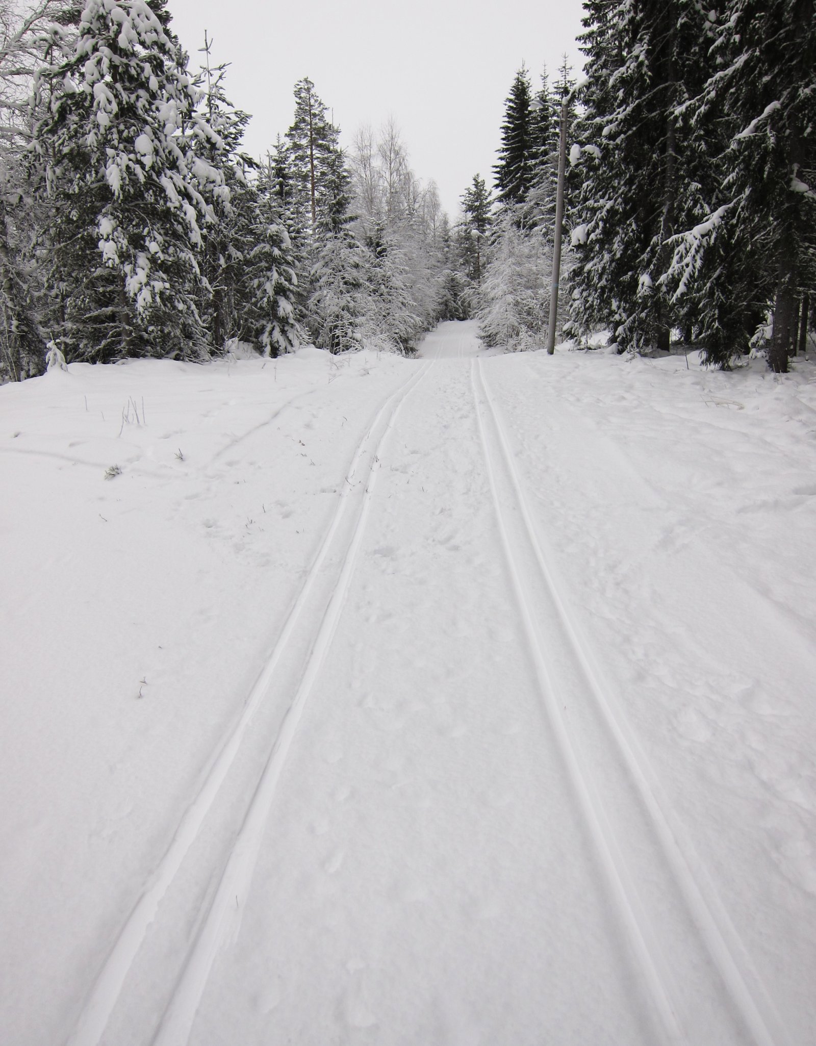 Hvite spor på Vestre Toten