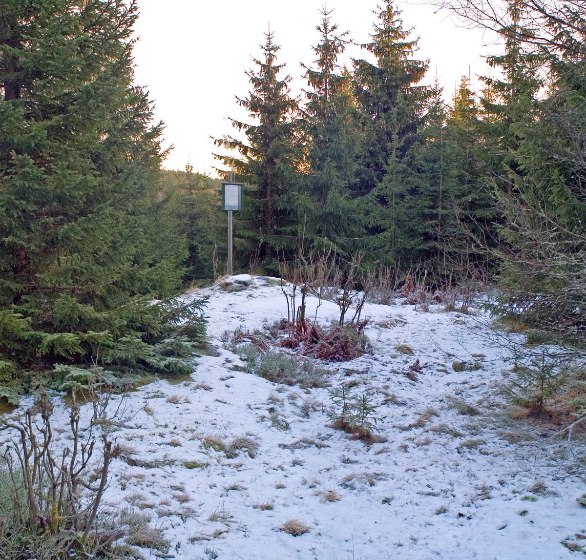 Hvitt teppe på Østernseter