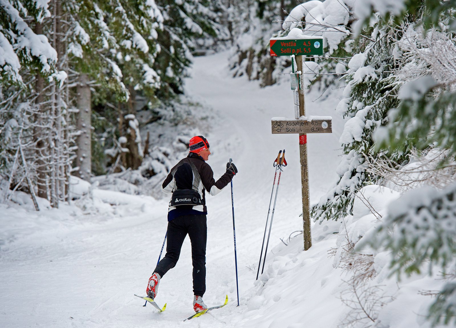 Hvor mange grader er det, mon tro?