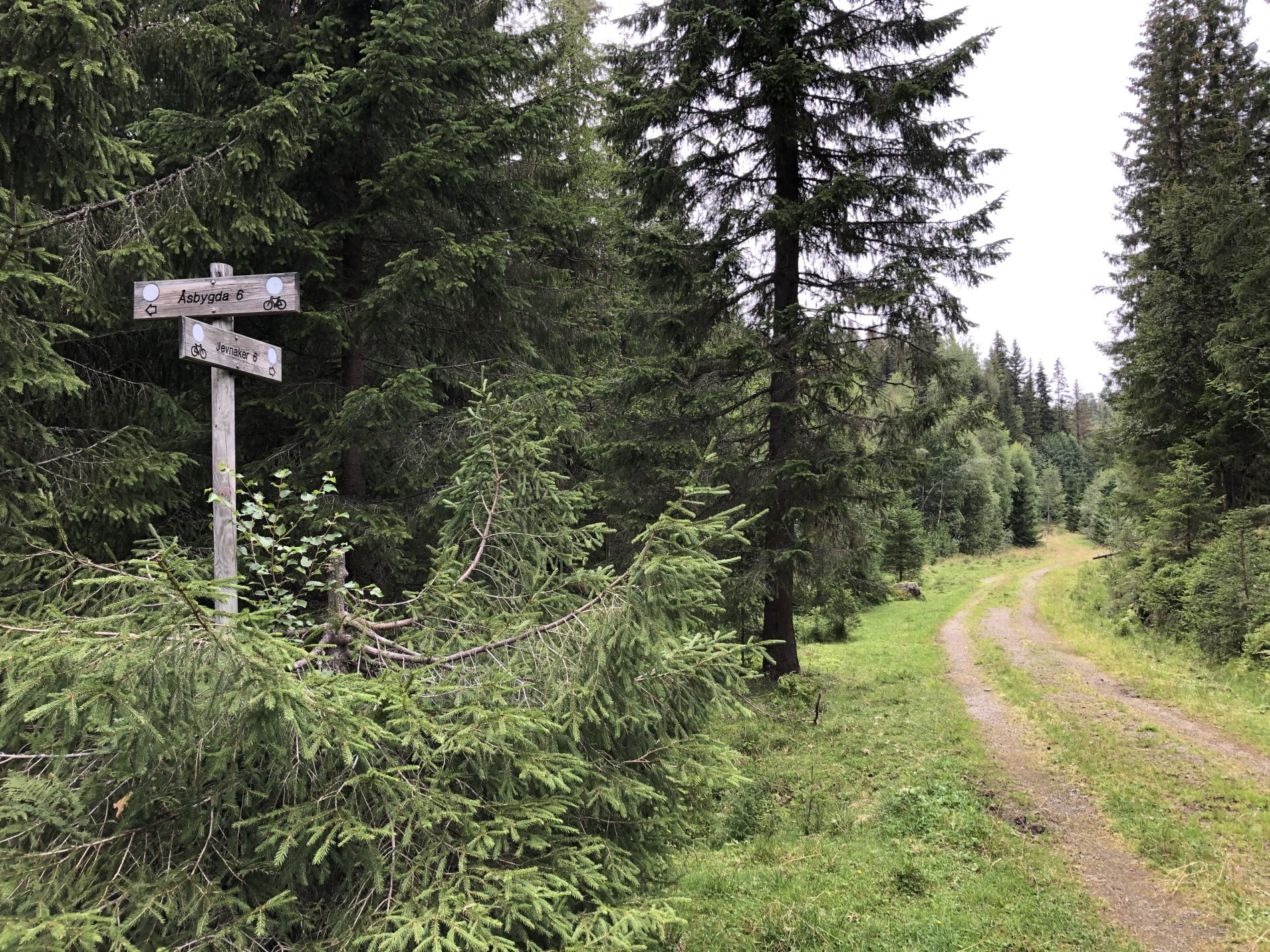 Hvordan er trillestiene?