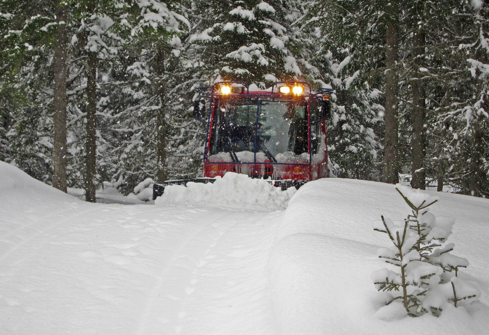 Hyggelig overraskelse