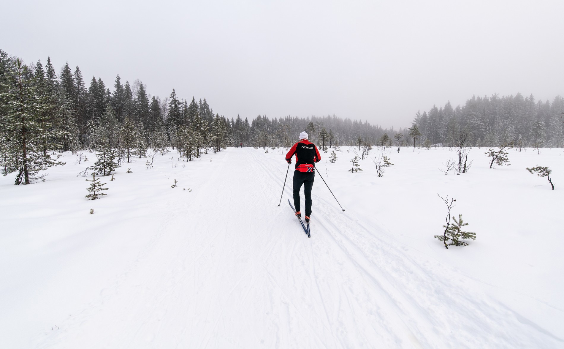 I åpent landskap i Vestmarka