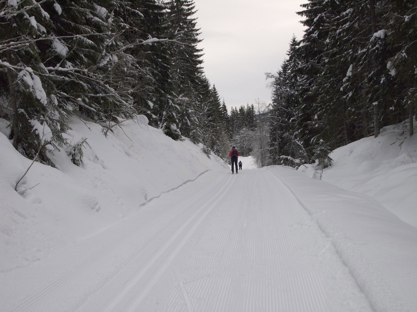 I bakken nedover fra Svartvatn mot Nysetra