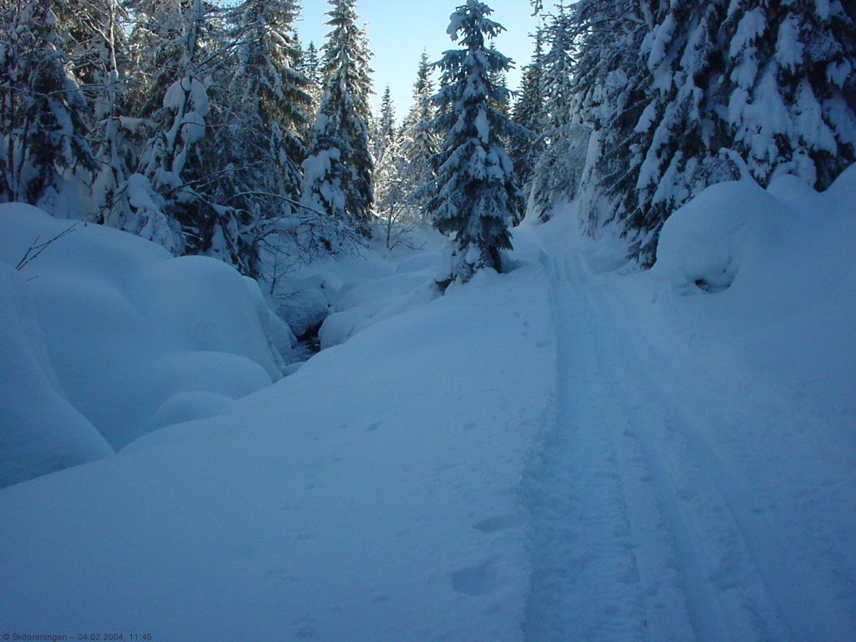 I dalen ned mot Grimsvann