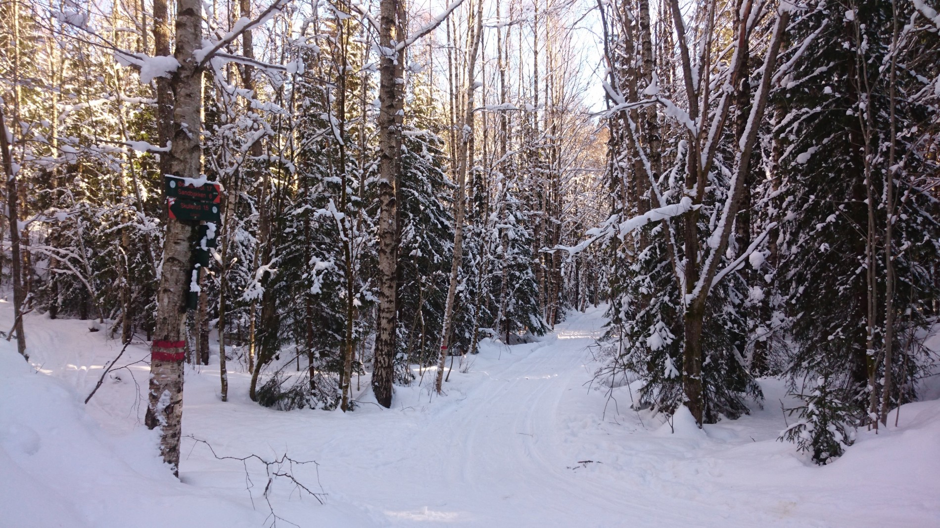 I de fine scooterløypene kan man gå både på ski og til fots