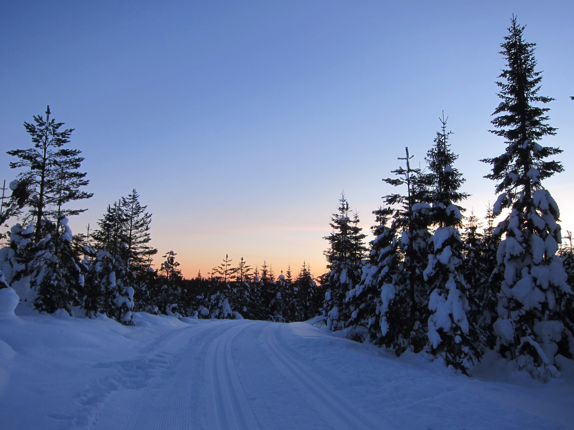 I ettermiddagslys mot Lynesvangen
