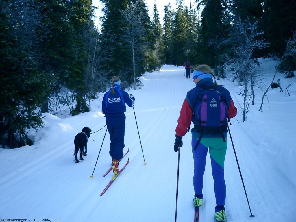 I farta på Ringkollen