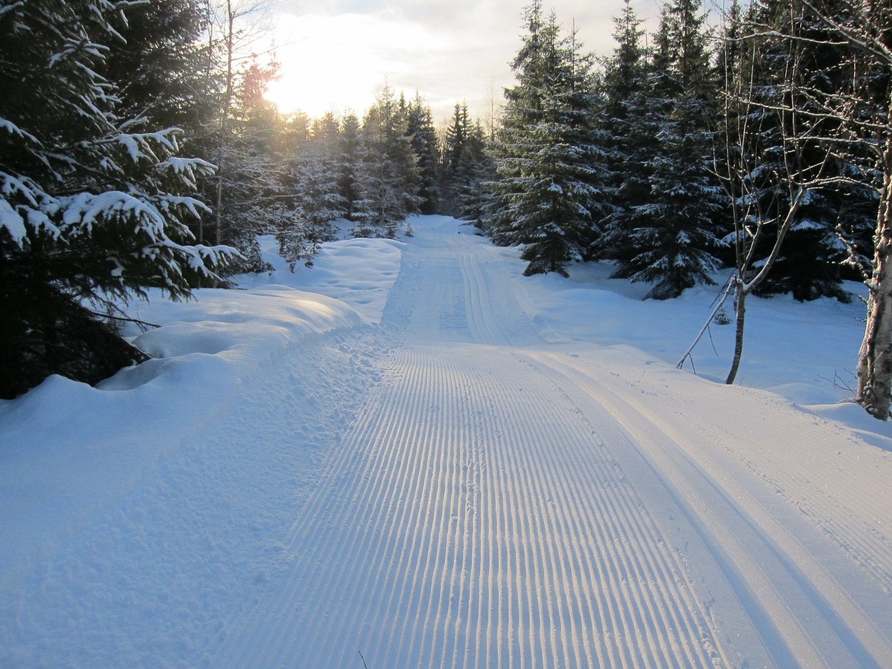 I ferske spor mot Sønstebygrenda