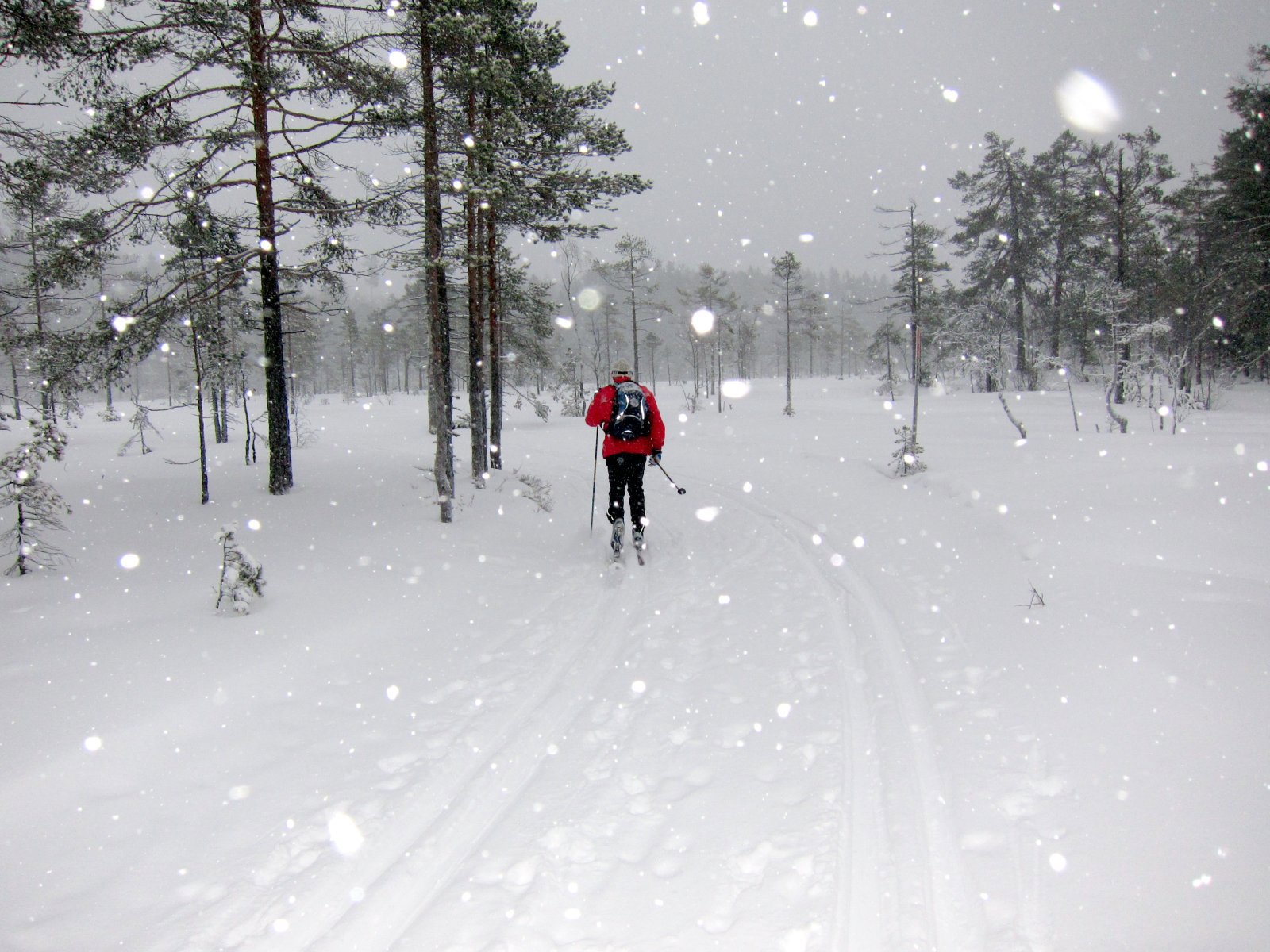 I fint driv over Bertelsmyr i snøværet