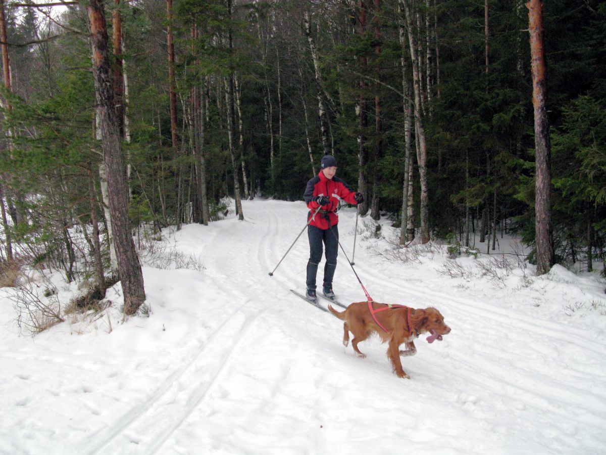 I fint driv ved Bukkestitjern